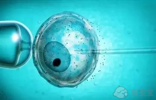 2022年上海瑞金医院供卵费用多少？附瑞金供卵流程一览