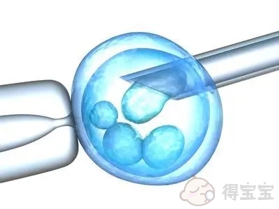 上海仁济医院做试管婴儿大概需要多少钱？