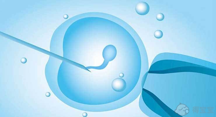 泌乳素高影响试管移植成功率和胚胎吗？