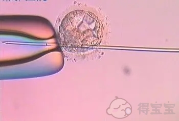 做b超子宫内膜8mm正常吗？可以做试管婴儿吗？