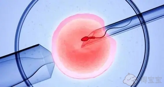输卵管堵塞影响怀孕 女性如何备孕呢？