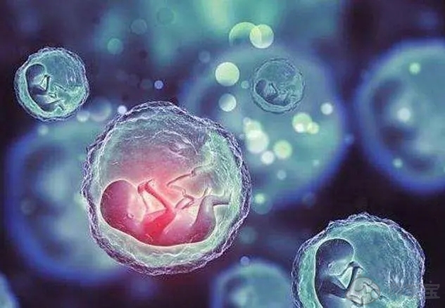胚胎移植后腰酸是什么原因？是成功还是失败？