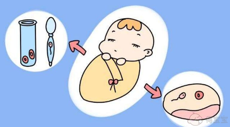 沈阳菁华医院试管婴儿流程都有什么？