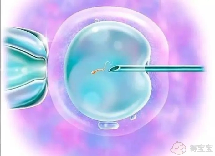 试管移植阴超和腹部b超哪个对胎儿伤害小？