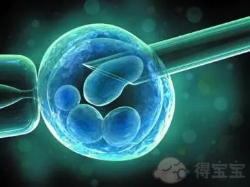 武汉同济生殖医学专科医院试管婴儿成功率高吗