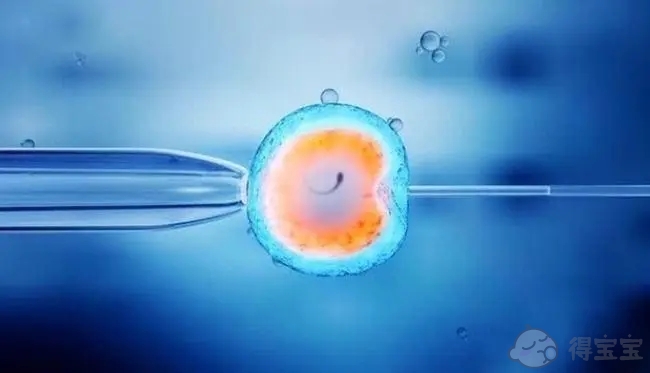 无锡妇幼医院试管胚胎移植一次就成功的概率高吗？