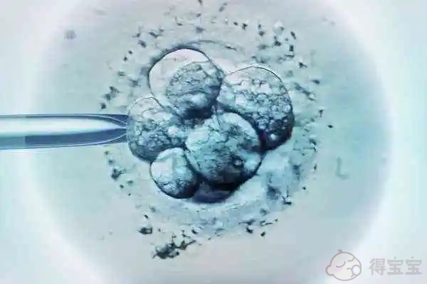 为什么孕酮高了不能移植鲜胚？