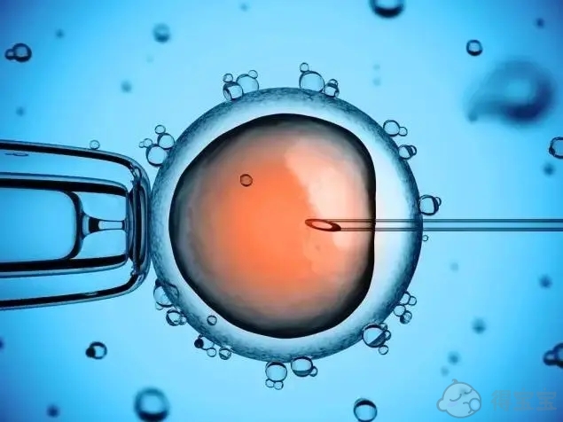 试管婴儿胚胎移植前怎么吃 才健康合理